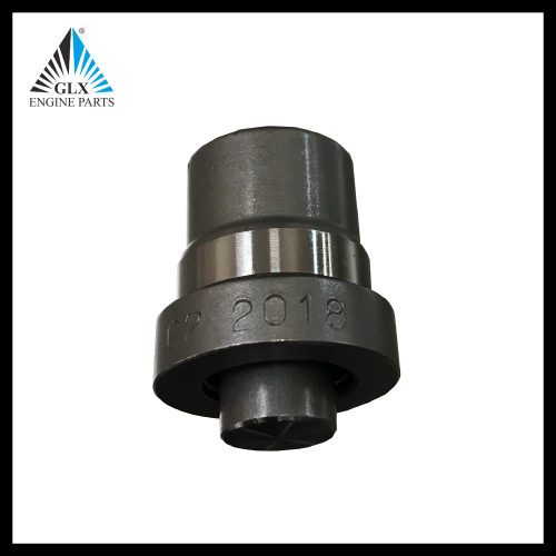 BUTTON INJECTOR