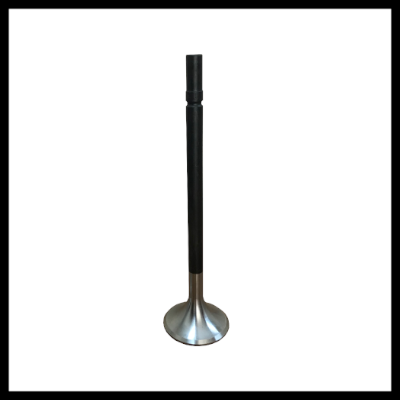 EXHAUST VALVE (1)
