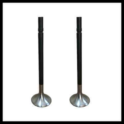 EXHAUST VALVE (2)