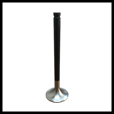 INLET & INTAKE VALVE (1)