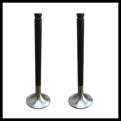 INLET & INTAKE VALVE (2)
