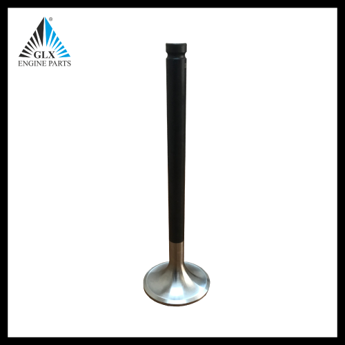 INLET & INTAKE VALVE