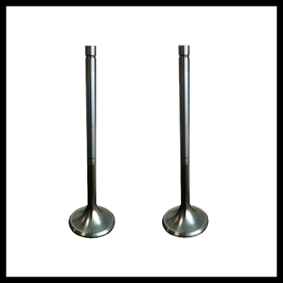 SEMT PIELSTICK PA6 VALVE